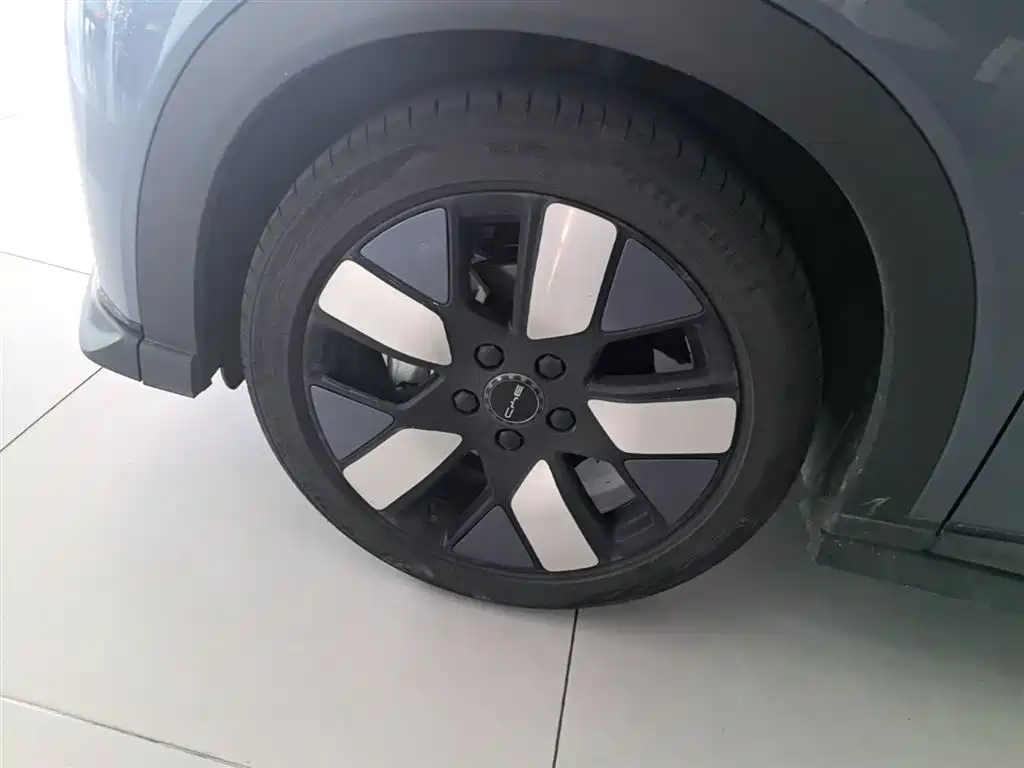 BYD Dolphin 2023 401km Knight Edition фото 25