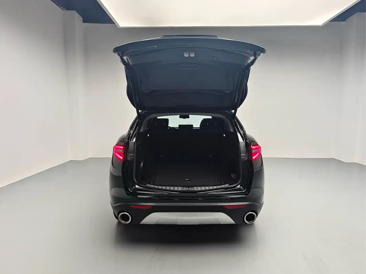 Alfa Romeo Stelvio 2021 2021 2.0T 280HP Luxury Edition