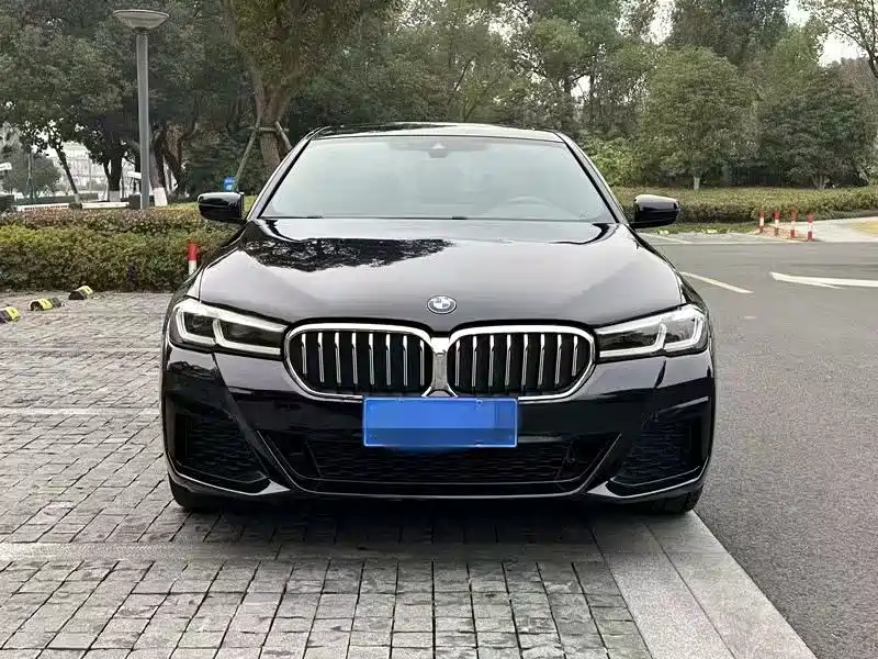 BMW 5 Series 2021 530Li Leading M Sport Package фото 2