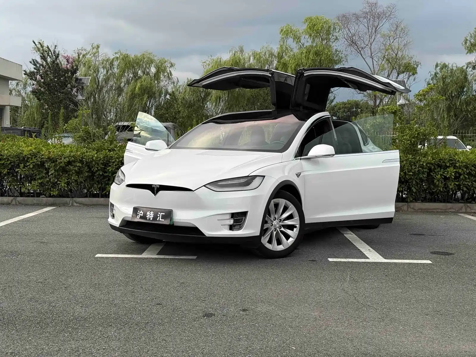 Фото 2 - Tesla Model X