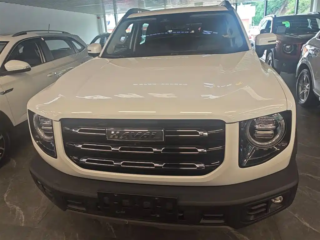 Haval Big Dog 2022 1.5T DCT FWD Border Collie Edition фото 3