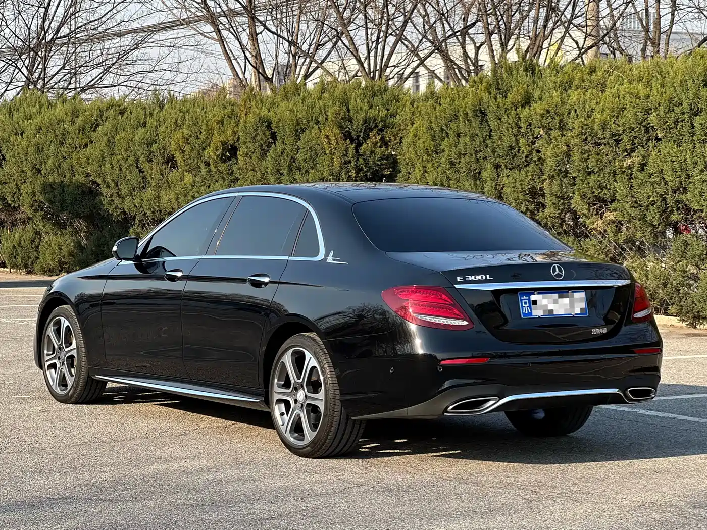 Mercedes-Benz E-Class 2016 E 300 L Sport Luxury фото 3