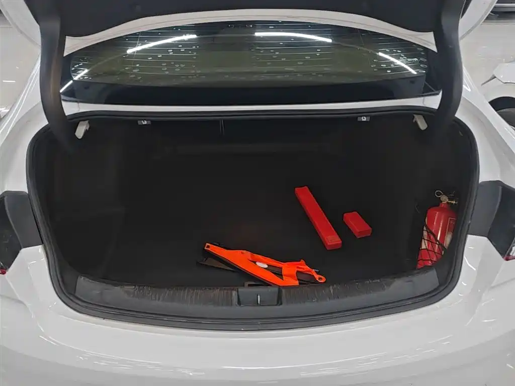 Buick Regal 2020 552T Elite фото 19