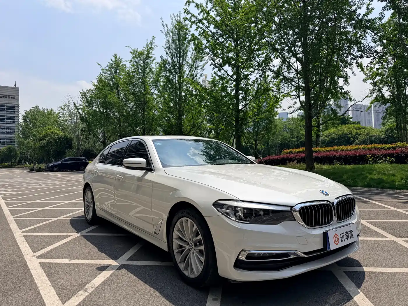 BMW 5 Series 2019 530Li xDrive Luxury Package фото 3