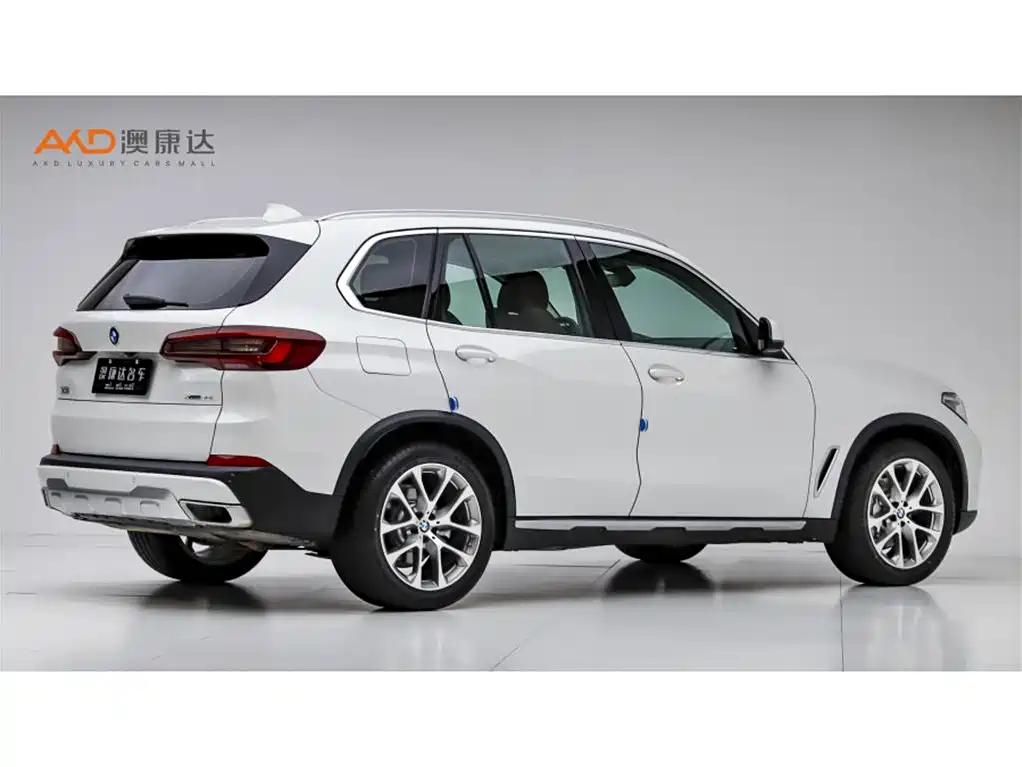 BMW X5 (Import) 2019 xDrive30i X Design Package фото 3