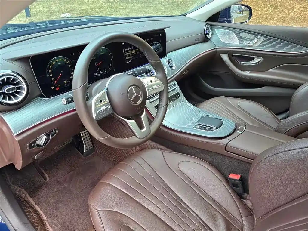 Mercedes-Benz CLS 2021 CLS 300 Luxury фото 5