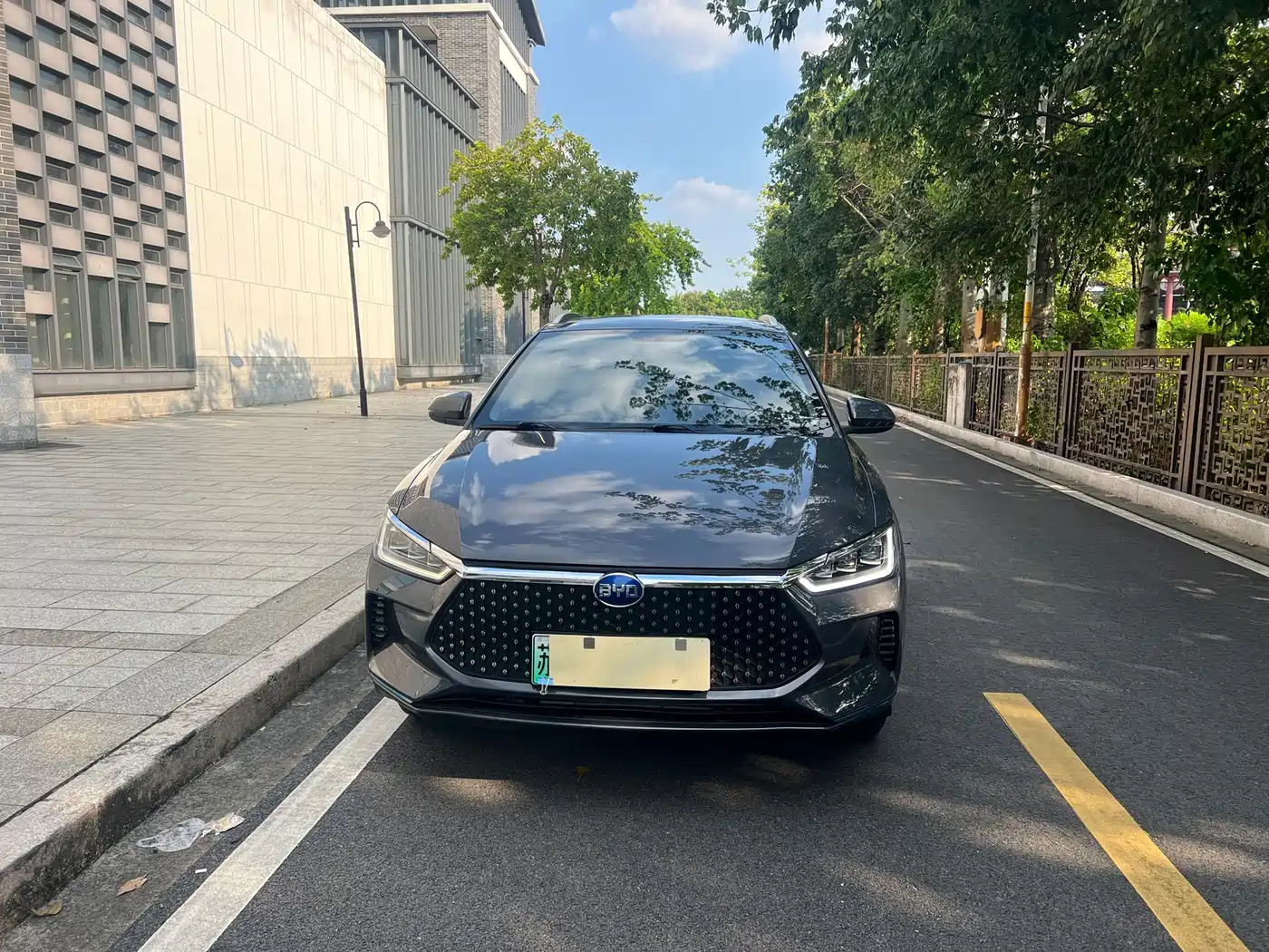 BYD e2 2021 2020 Upgraded Long Range Luxury
