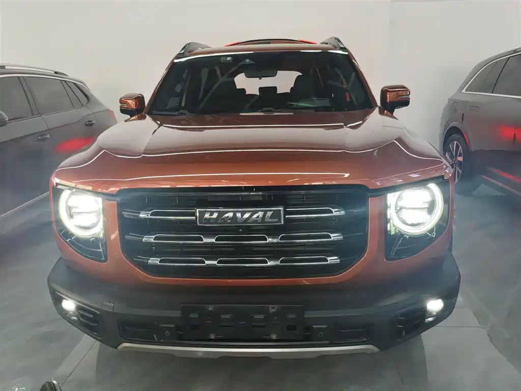 Haval Big Dog 2021 1.5T DCT 2WD Border Collie - Wangcai Edition фото 3