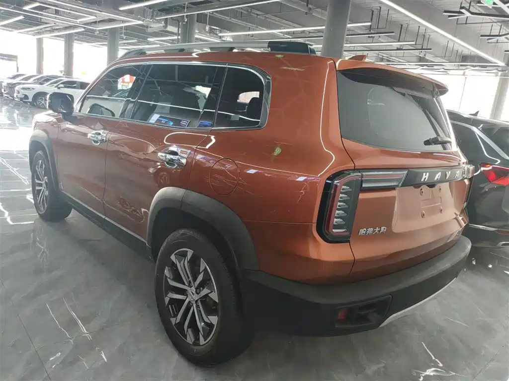 Haval Big Dog 2021 1.5T DCT 2WD Border Collie - Wangcai Edition фото 23