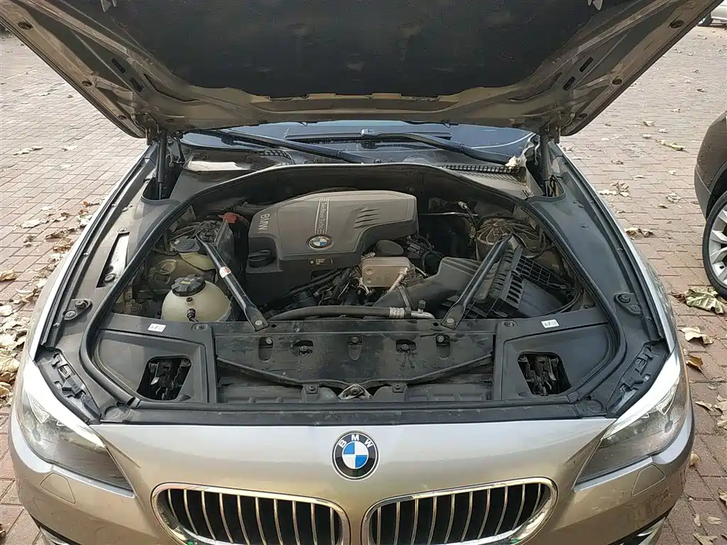 BMW 5 Series 2017 528Li Leading Edition фото 20