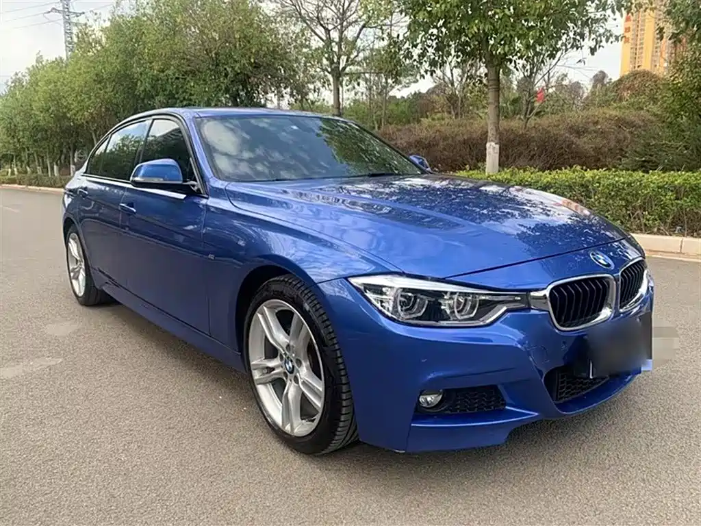 BMW 3 Series 2018 320Li Leading M Sport Package фото 7