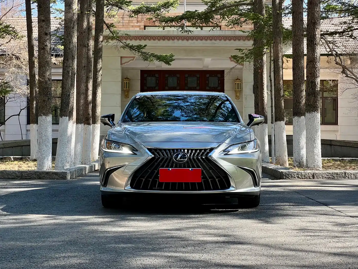 Lexus ES 2024 200 Premium Edition фото 3