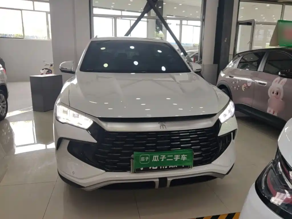 BYD Song Pro New Energy 2025 2024 Glory Edition DM-i 71KM Pilot