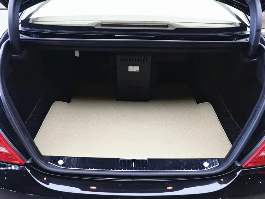 Mercedes-Benz S-Class AMG 2010 AMG S 65 фото 34
