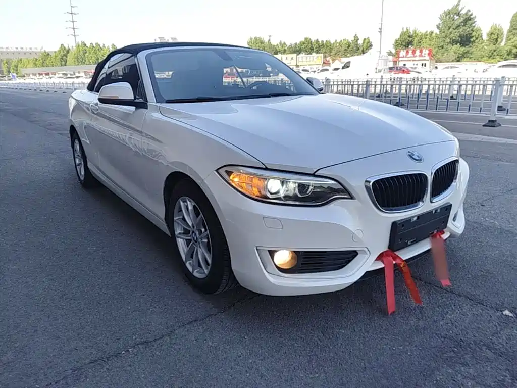 BMW 2 Series (Import) 2015 218i Convertible Coupe фото 4