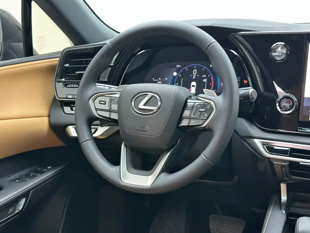 Lexus RX 2025 2025 300 4WD Premium Edition