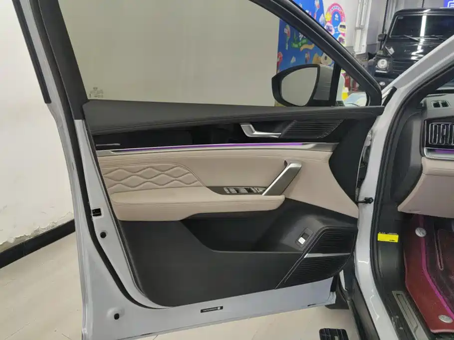 BYD Tang New Energy 2024 2024 DM-i Glory Edition 112KM Deluxe
