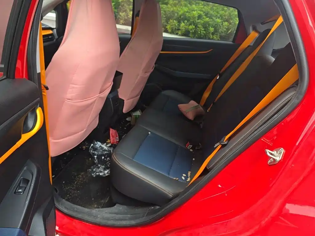Ruilan Auto X3 PRO 2023 2022 1.5L CVT Xiao Sa