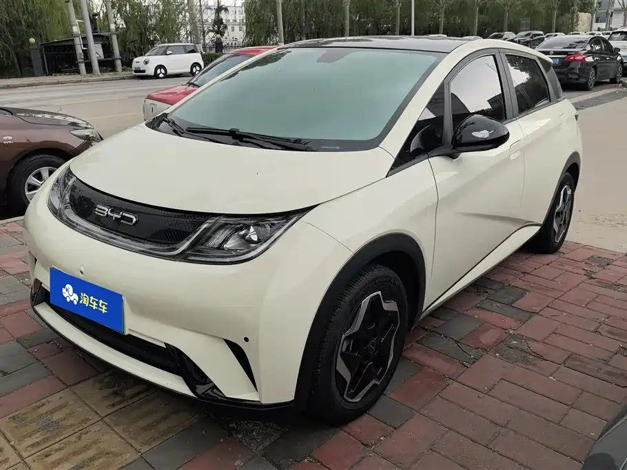 BYD Dolphin 2021 Model 405km Fashion Edition