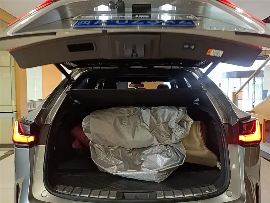 Lexus NX 2024 260 FWD Joy Creation Edition фото 18