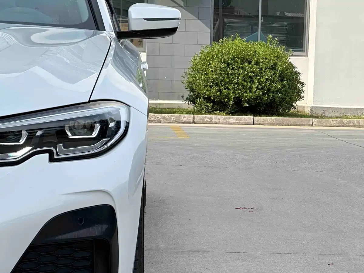 BMW 3 Series 2020 Facelift 325Li Launch Edition фото 8