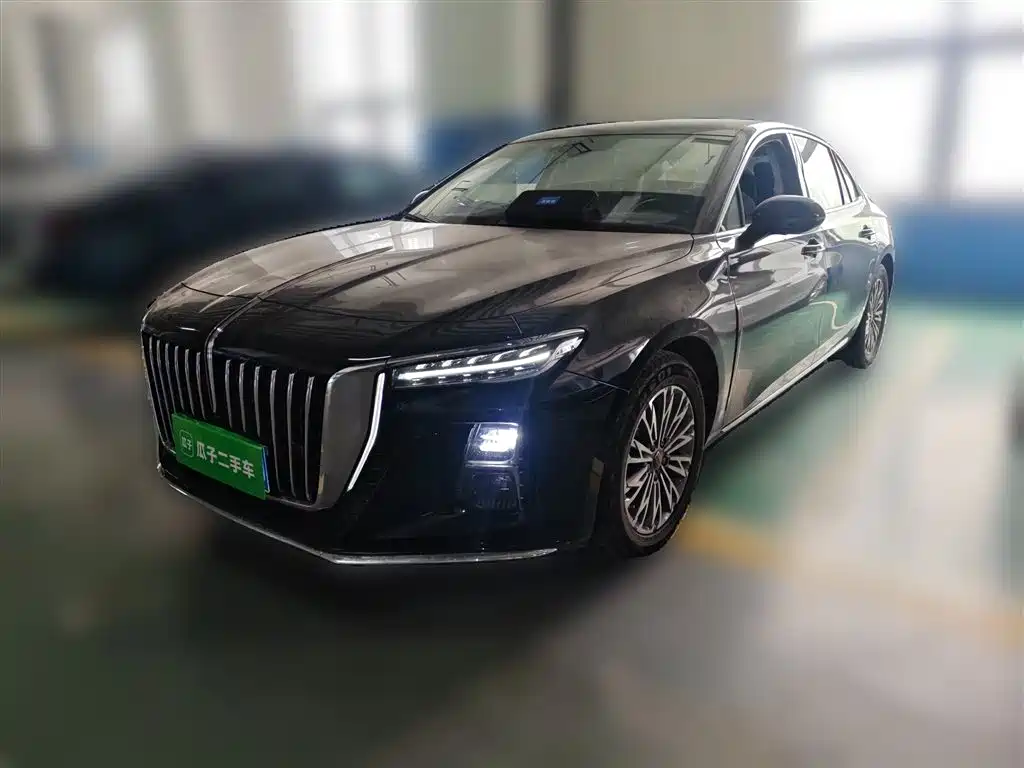 Hongqi H5 2023 1.5T DCT Smart Connect Flag Rhythm фото 2