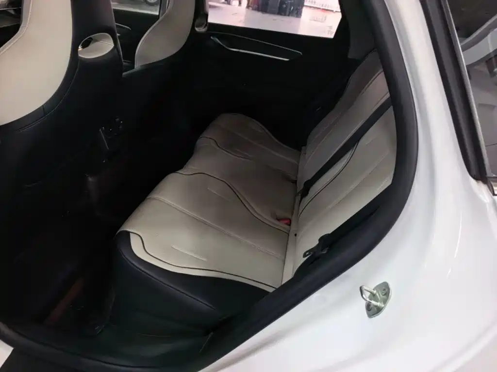 BYD Destroyer 05 2024 2024 Glory Edition DM-i 55KM Luxury