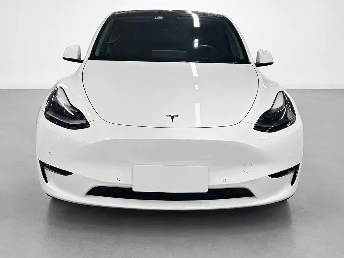 Фото 2 - Tesla Model Y