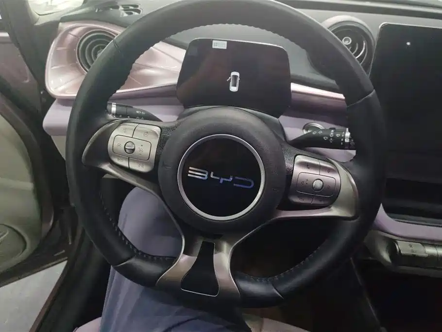 BYD Dolphin 2023 420km Fashion Edition фото 15