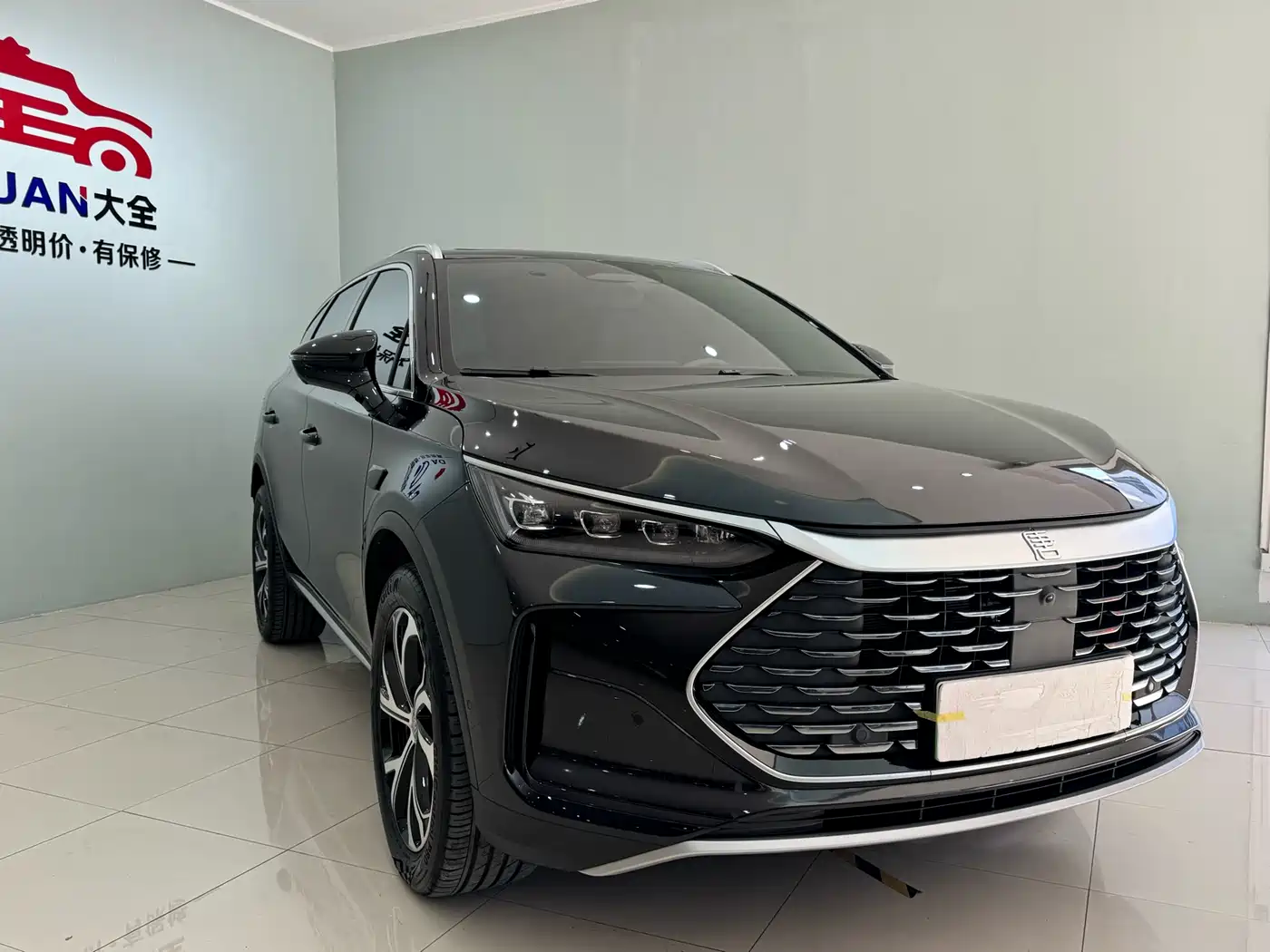 BYD Tang New Energy 2025 DM-i 115KM Flagship фото 3