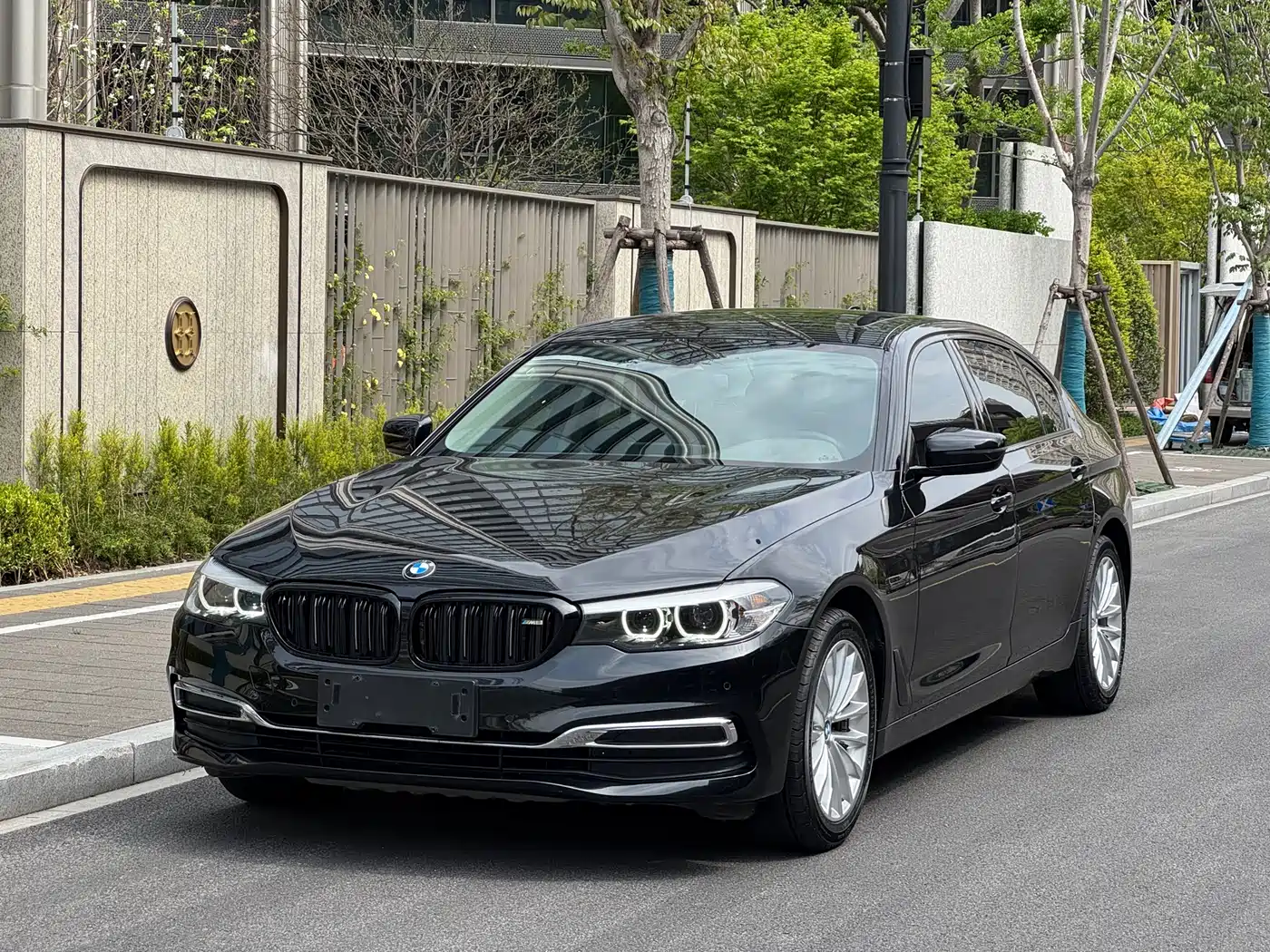 BMW 5 Series 2020 525Li Luxury Package