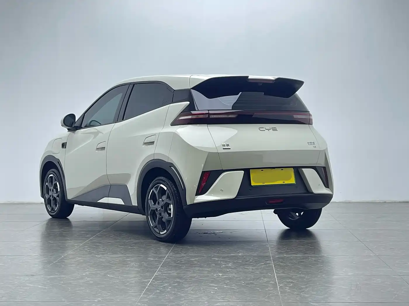 BYD Seagull 2025 Smart Drive Edition 305km Freedom Version фото 6