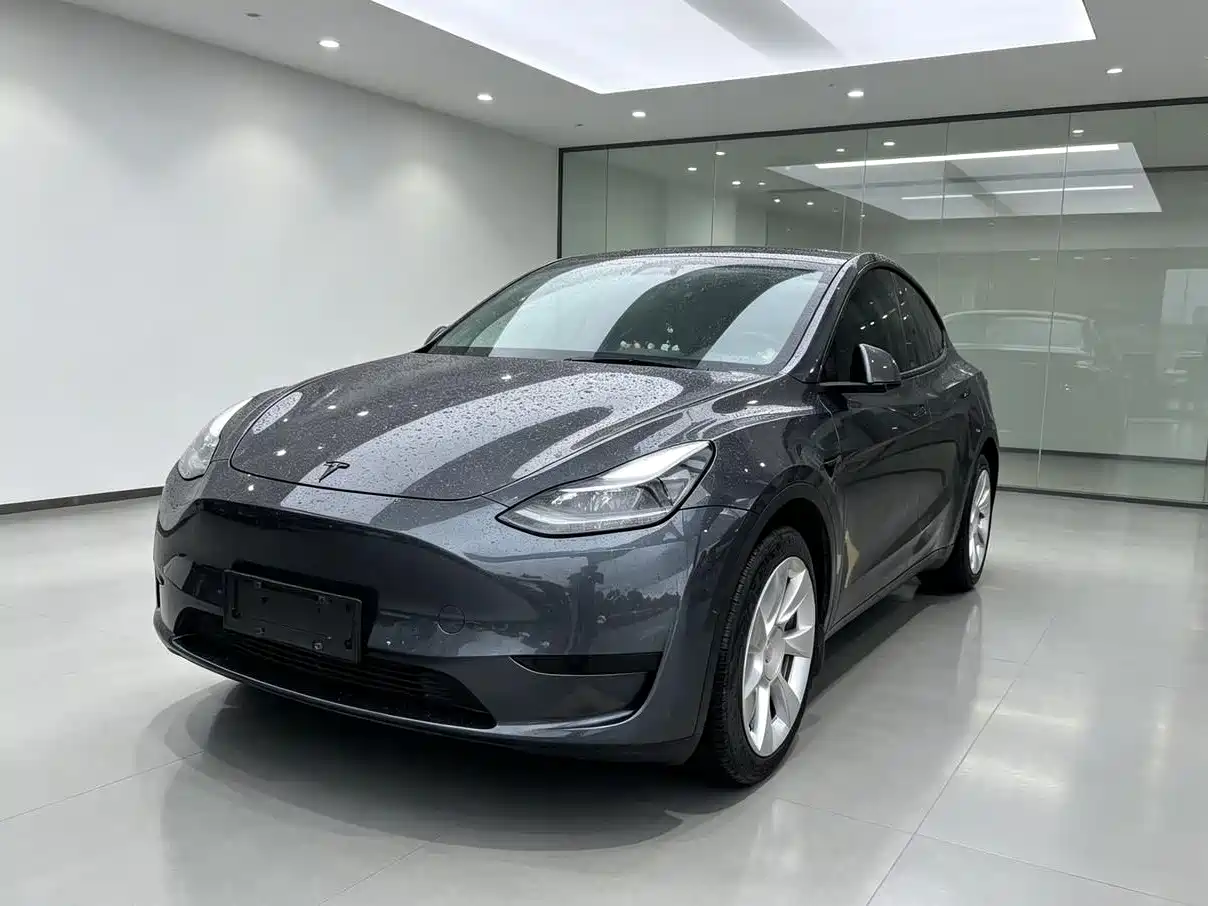 Tesla Model Y 2022 Rear-Wheel Drive Version