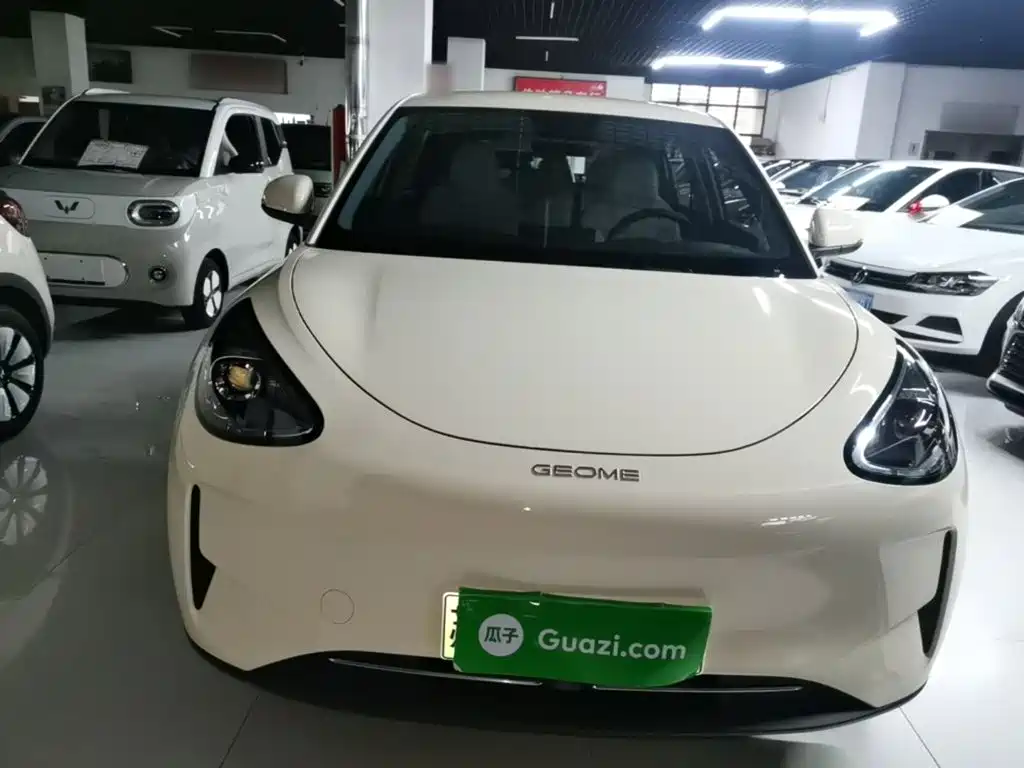 Geely Galaxy Starry Wish 2026 2026 Edition 310km Youth Version
