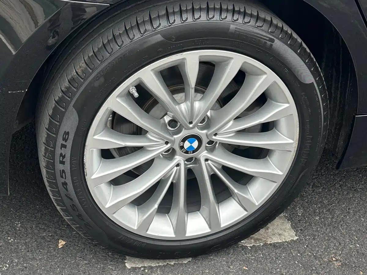 BMW 5 Series 2020 530Li Leading Luxury Package фото 16
