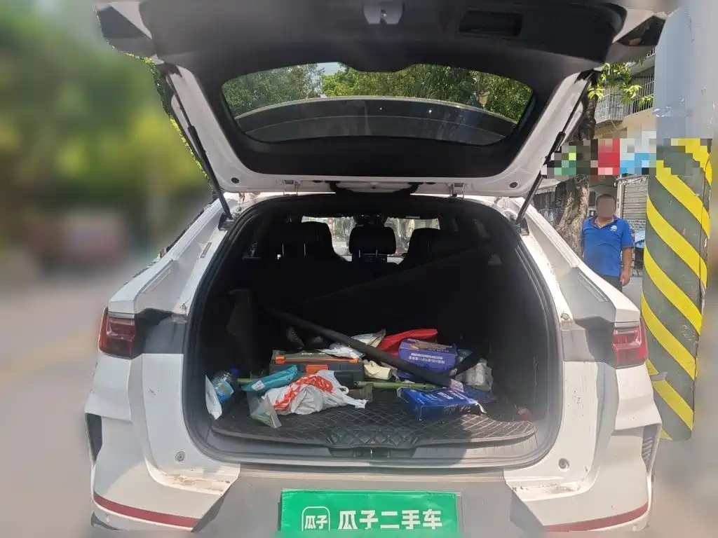 BYD Song PLUS 2021 2020 1.5T Automatic Premium