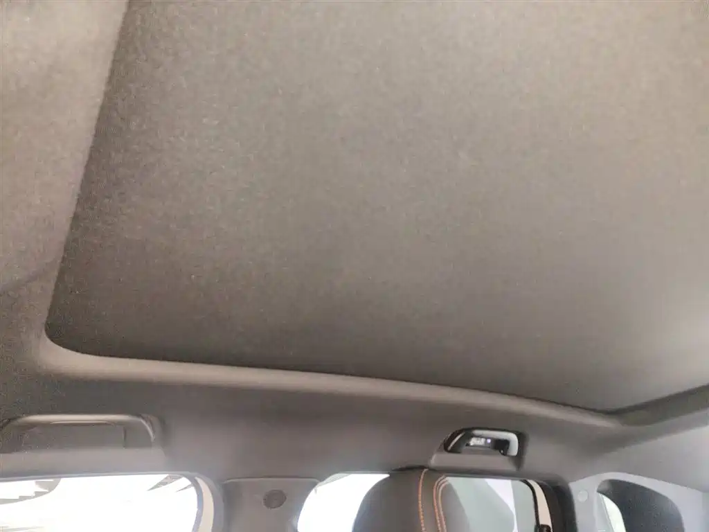 Haval Big Dog 2021 1.5T DCT 2WD Labrador Edition фото 18