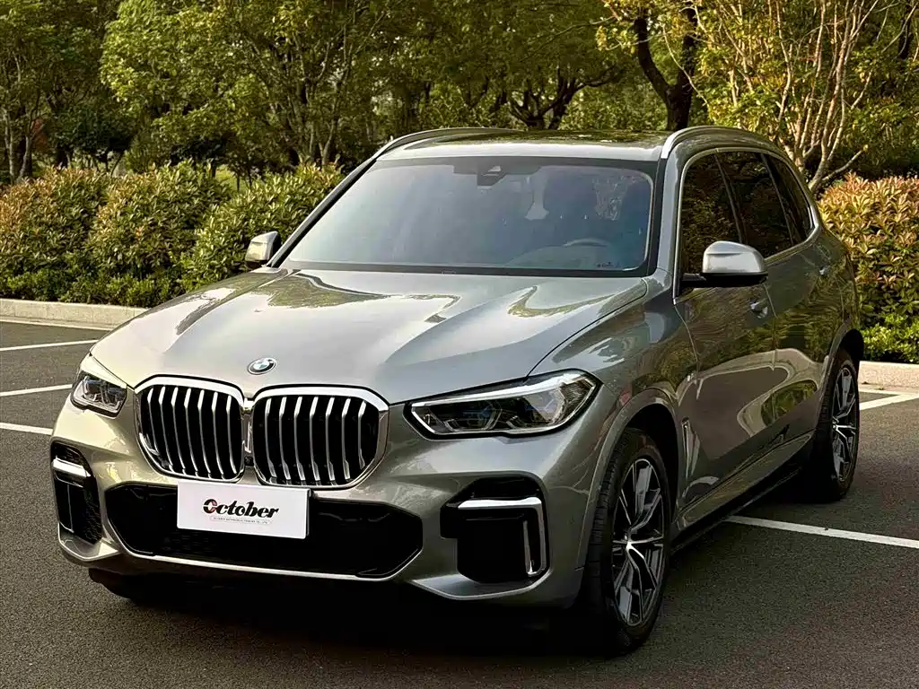 BMW X5 2022 xDrive 30Li Premium M Sport Package