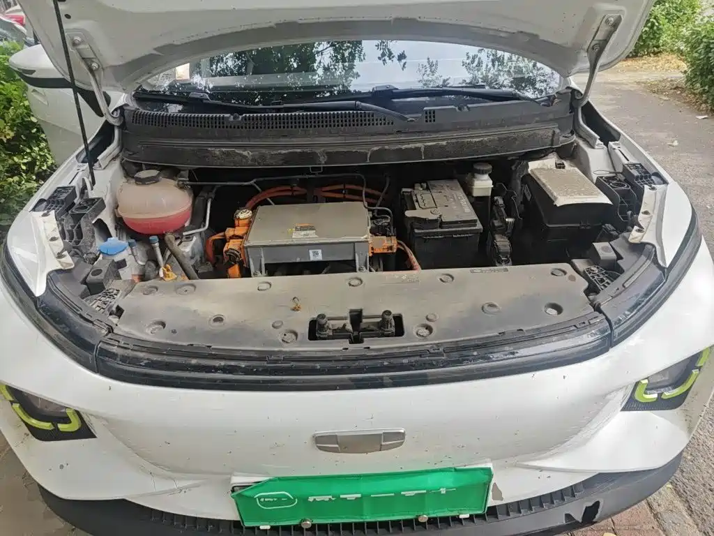 Geely Geometry E Firefly 2023 2023 320KM Cute Tiger 5-seater