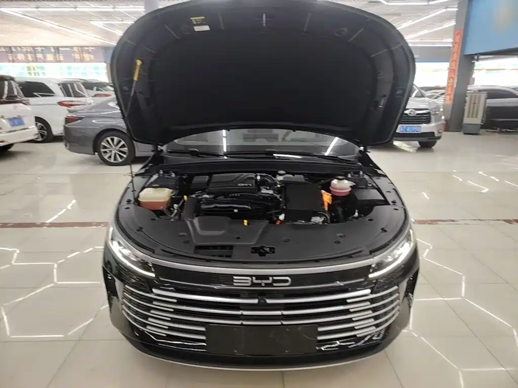BYD Destroyer 05 2022 2022 DM-i 120KM Premium