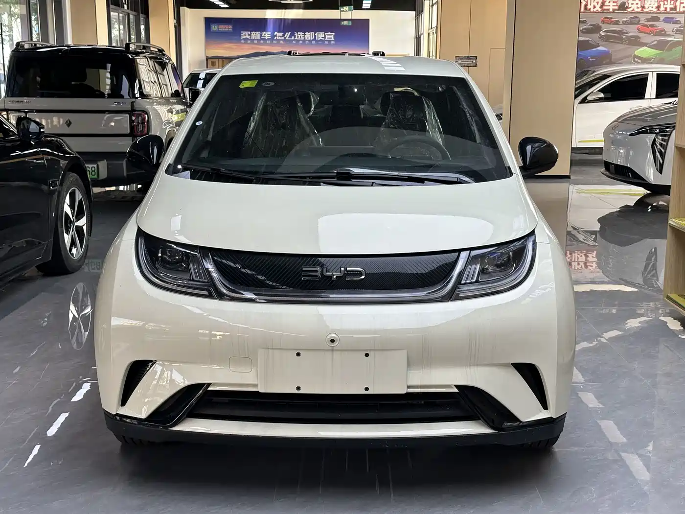 BYD Dolphin 2026 2025 420km Freedom Edition