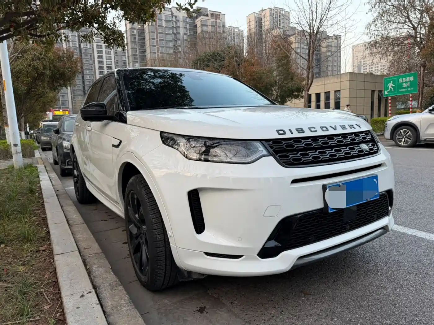 Land Rover Discovery Sport 2020 249PS R-Dynamic Luxury Custom фото 3