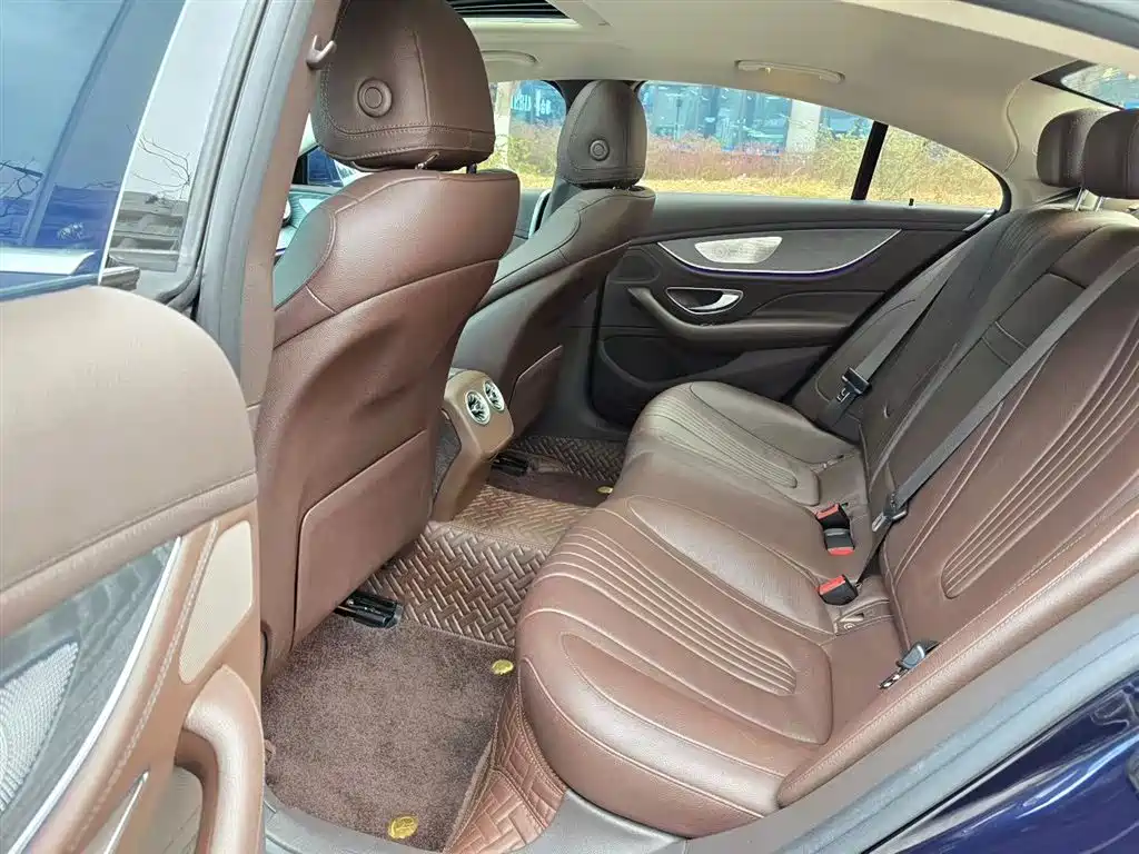 Mercedes-Benz CLS 2021 CLS 300 Luxury фото 6