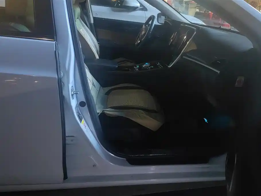 BYD Qin New Energy 2017 1.5T Premium Model фото 7