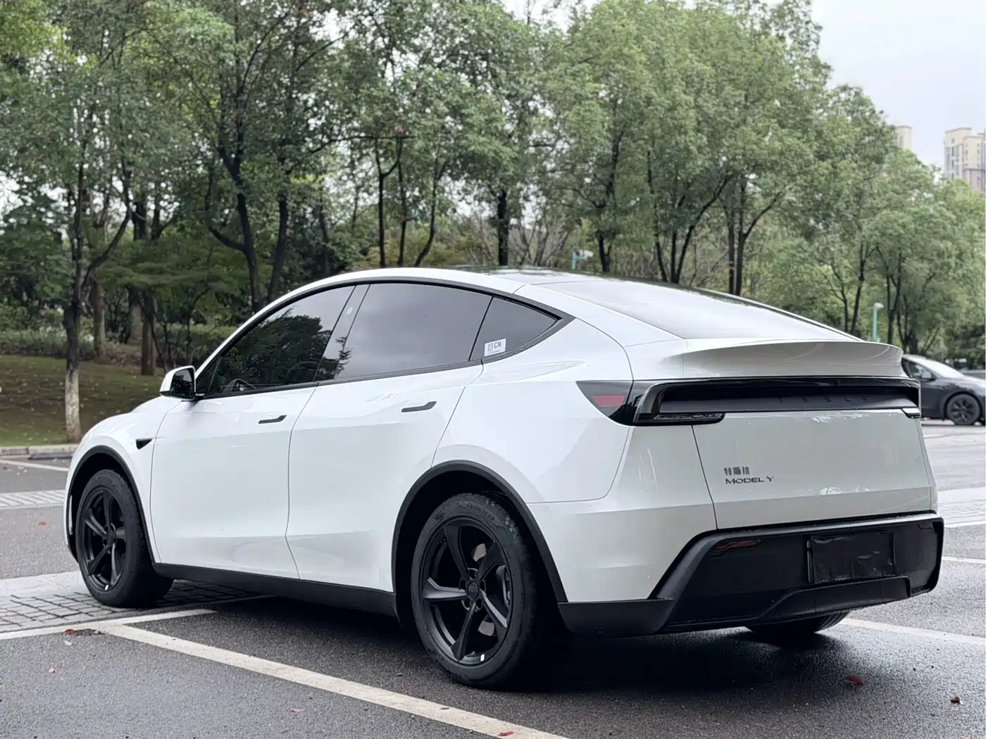 Tesla Model Y 2026 2026 Rear-Wheel Drive