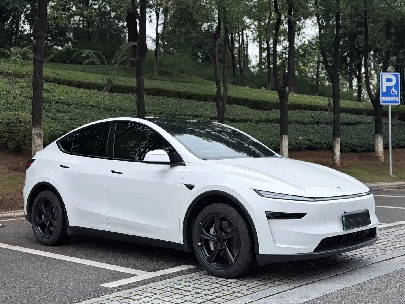 Tesla Model Y 2026 2026 Rear-Wheel Drive