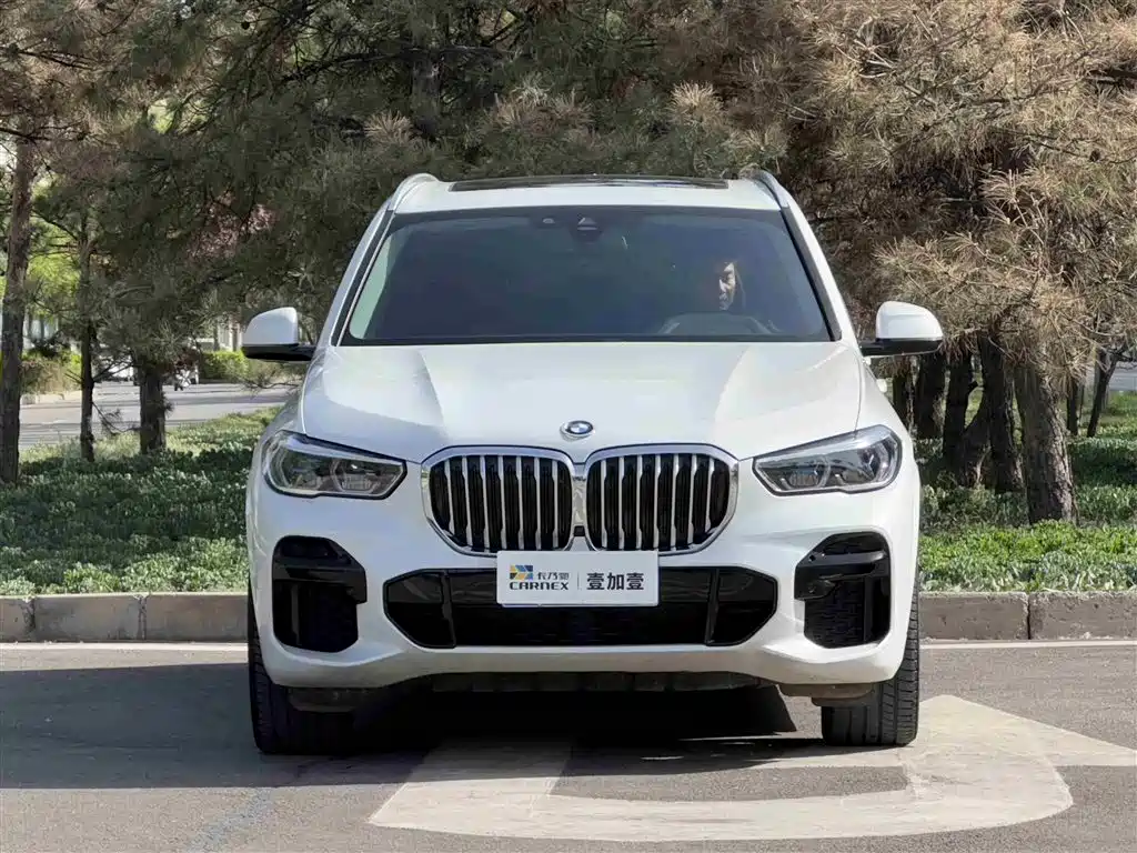 BMW X5 (Import) 2022 xDrive40i M Sport Package фото 2