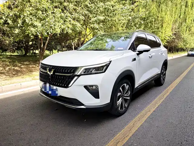 Wuling Motors Wuling Xingchen 2022 2.0L DHT Electric Speed Edition