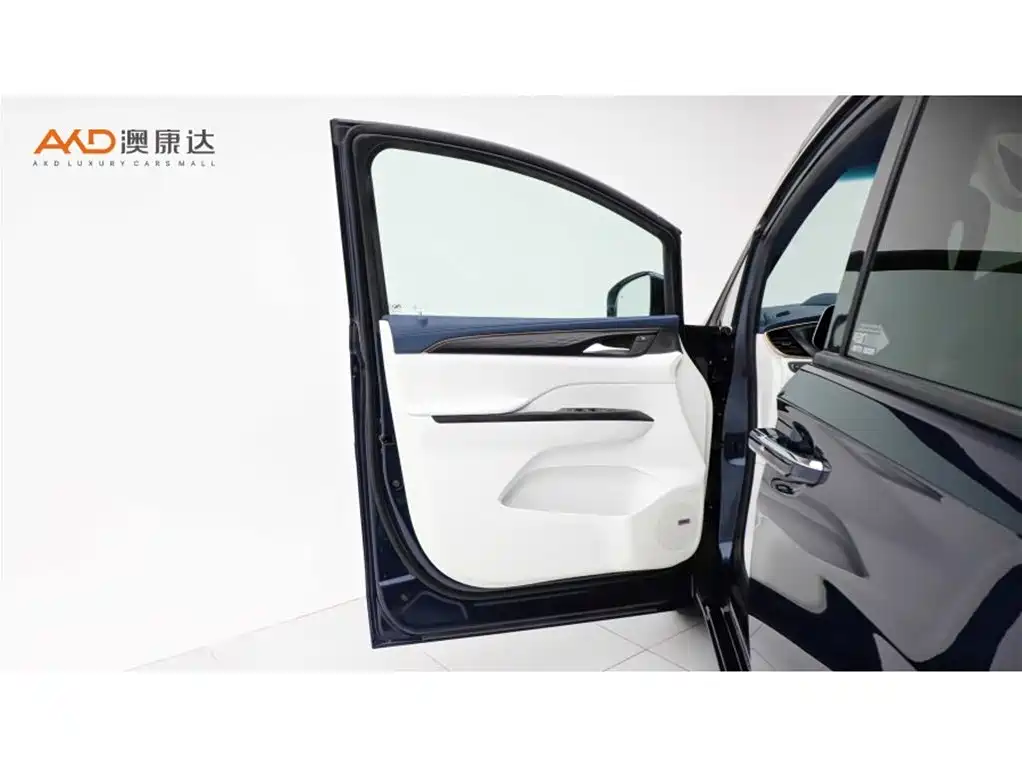 Buick GL8 2020 Avenir Four-Seat Prestige Edition фото 10