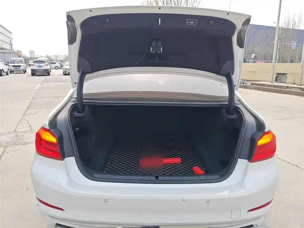BMW 5 Series 2018 Facelift 530Li Leading Luxury Package фото 19